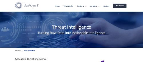 BlueVoyant Threat Intelligence Services