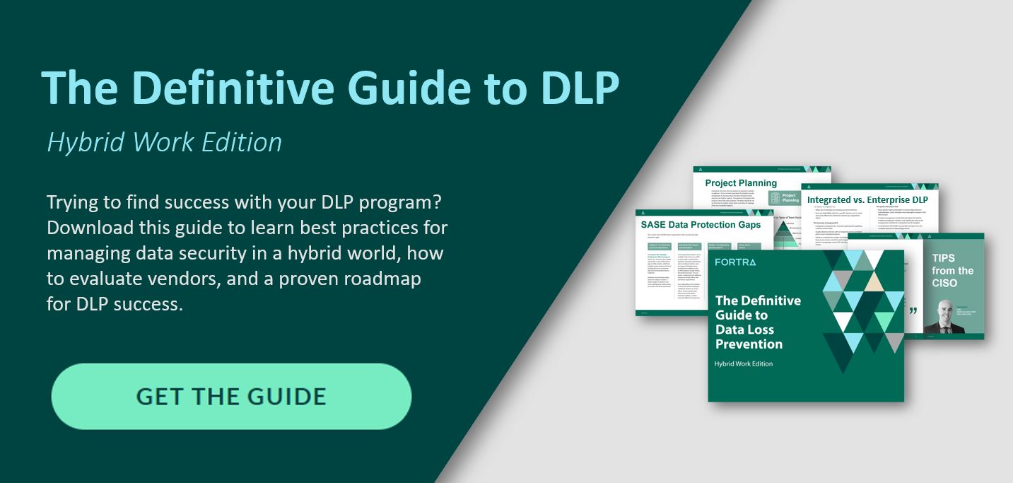 Download the Definitive Guide to Data Loss Prevention